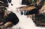 玉龍?jiān)?、響水?></a></dd>
  <dd>
	 

	

	 

	　　雨母山西北一個(gè)山皂，東西縱向長(zhǎng)達(dá)1公里。有叫玉龍?jiān)?，有叫響水皂。該皂有響水泉和響水瀑布。在玉龍?jiān)砼c九龍沖相隔的山坳，叫玉龍騰山坳，簡(jiǎn)稱玉龍坳。玉龍土皂現(xiàn)駐有供電所、林場(chǎng)和蒸湘區(qū)黨校。在玉龍?jiān)淼祝幸蝗_(tái)，叫玉龍臺(tái)。...[<a href=