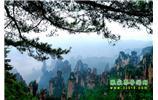 【純玩獨立成團線路1】張家界、袁家界、天子山、寶峰湖/黃龍洞二晚三日