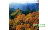 長(zhǎng)沙往返張家界、天子山、寶峰湖/黃龍洞三日游