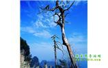 湘西之旅：張家界、天子山、寶峰湖/黃龍洞、鳳凰古城、猛洞河漂流、天門山六日游