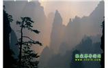 張家界國家森林公園、寶峰湖/黃龍洞、鳳凰古城、三峽八日游