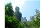 【純玩拼團(tuán)線路 張家界出發(fā)A2線】張家界、袁家界、天子山、金鞭溪、鳳凰古城2晚3日游